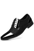 Pointed Formal Business Shoes