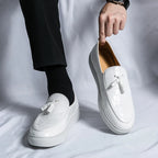 Passero Loafers Shoes